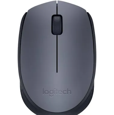 Mouse Logitech Wireless M170